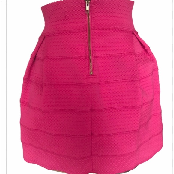 Ginger Pink Mini Skirt - Picture 3 of 3